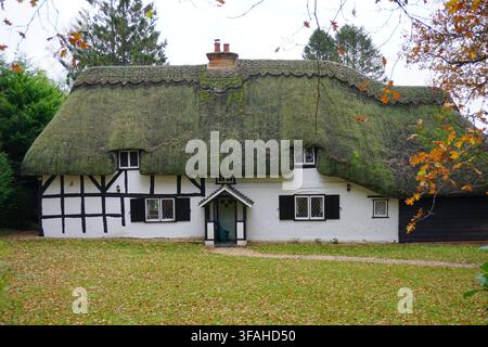 Chalet de campagne avec toit de paille. Belle maison dans un décor automnal Banque D'Images