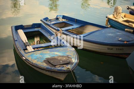 Jeune mouette perchée sur le bord d'un petit bateau à rames en bois bleu dans les eaux calmes du port de Rijeka, région de Kvarner, Croatie. Banque D'Images