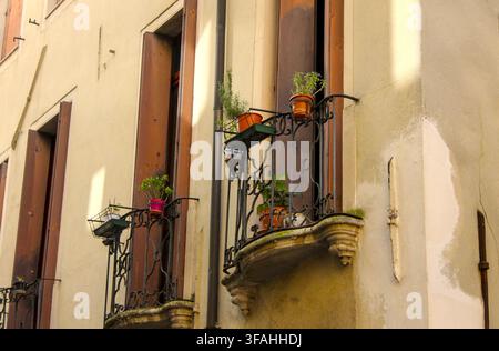 Plantes en pot sur des balcons en fer forgé ornés de la façade d'un bâtiment historique traditionnel dans la vieille ville de Padoue, région de la Vénétie, Italie. Banque D'Images