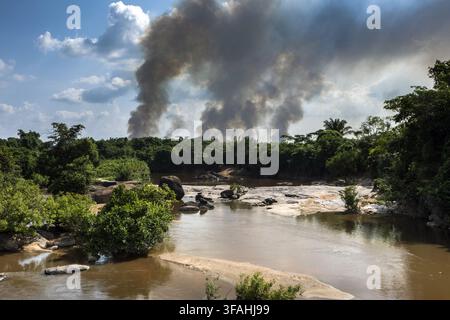 Brûlé dans la forêt amazonienne pour la pâture Banque D'Images