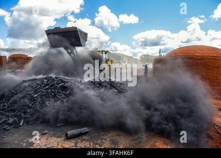 Production de charbon de bois d'eucalyptus pour l'industrie de la fonte - détail de chargement - Alto Jequitinhonha Banque D'Images