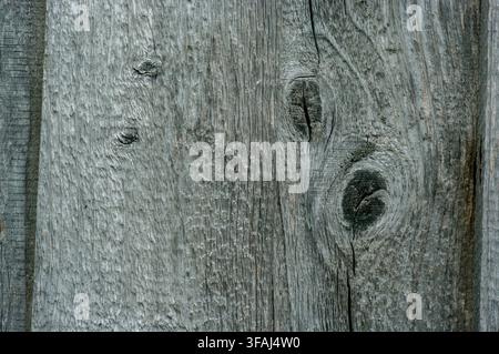 Bavière, Allemagne - 1er janvier 2008 : Gros plan de planches de clôture en bois gris patiné montrant une texture rugueuse, des nœuds et une grain âgé. Idée de fond rustique Banque D'Images