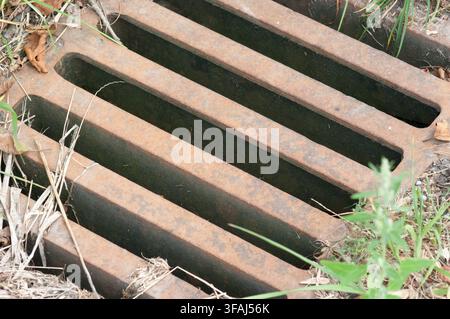 Bavière, Allemagne - 1er janvier 2008 : Un gros plan d'une grille d'égout rouillée et d'un couvercle de drainage métallique partiellement cachés par de l'herbe et des feuilles sèches, montre Banque D'Images