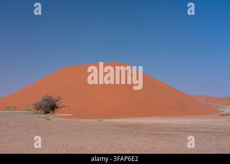 Touristes randonnant le long de la crête d'une immense dune de sable dans le désert du Namib, Namibie Banque D'Images