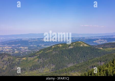 Vue aérienne panoramique de montagnes couvertes de forêts de pins et d'une vallée sous un ciel clair Banque D'Images