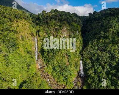 Découverte de la beauté naturelle des chutes de Trafalgar dans le parc national de Morne Trois Pitons à Dominique Banque D'Images