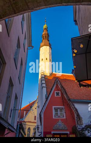 Vue de l'église du Saint-Esprit et de la rue étroite colorée, place de la vieille ville (Raekoja Plats - Julemarked), Tallinn, Estonie Banque D'Images