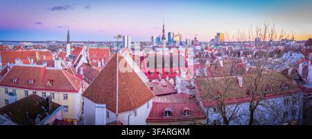 Vue élevée sur la skyline de Tallinn au crépuscule en hiver, Tallinn, Estonie Banque D'Images