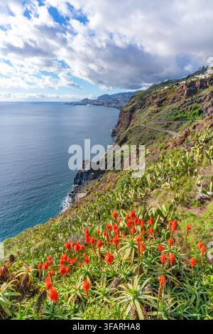Vue de la côte en direction de Funchal depuis Cristo Rei, Estr. do Cristo Rei, Cani√ßo, Madère, Portugal Banque D'Images