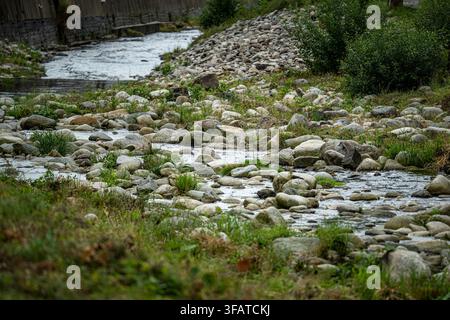Vrchlabi, République tchèque. 21 août 2026. Bas niveau d'eau dans l'Elbe à Vrchlabi, région de Trutnov, République tchèque, pendant la sécheresse actuelle, le 21 août 2026. Crédit : David Tanecek/CTK Photo/Alamy Live News Banque D'Images