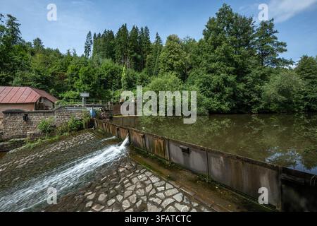 Vestrev, République tchèque. 21 août 2026. Bas niveau d'eau dans la partie supérieure de l'Elbe à Vestrev, région de Trutnov, République tchèque, pendant la sécheresse actuelle, le 21 août 2026. Crédit : David Tanecek/CTK Photo/Alamy Live News Banque D'Images