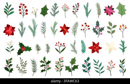 Ensemble vectoriel de feuilles et branches d'hiver. Ornements botaniques de Noël, gui, sapin de Noël, poinsettia, baie de houx, plantes et feuilles de dessin animé Illustration de Vecteur
