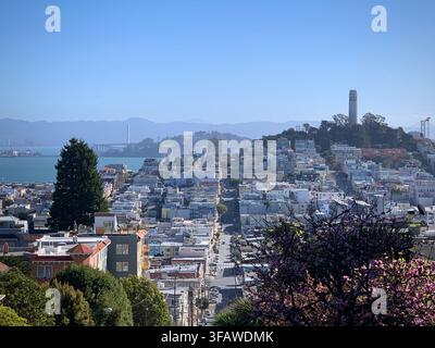 Vue des quartiers de San Francisco et de la tour Coit (Californie, États-Unis) Banque D'Images