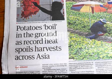 'Les pommes de terre „battent“ dans le sol alors qu'une chaleur record gâche les récoltes à travers l'Asie' Titre du journal Guardian du 14 août 2026 Londres UK Banque D'Images