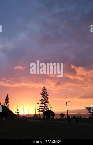 Un coucher de soleil éclatant projette des teintes orange et violettes ardentes dans le ciel au-dessus des pins de l'île Norfolk en silhouette à Coolangatta, Queensland, Australie. Banque D'Images