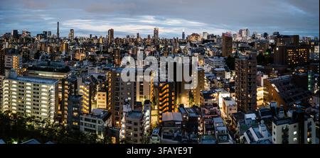 Ciel urbain de Tokyo et bâtiments illuminés à l'heure bleue, vus à travers la ville en direction de Shinjuku, Japon. Banque D'Images