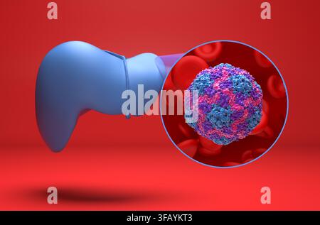 Virus de l'hépatite A (HAV) - illustration 3D isométrique Banque D'Images