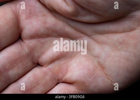Vue rapprochée des lignes de la paume humaine et de la texture de la peau. Prise de vue macro se concentrant sur les lignes détaillées, les plis et les motifs de la paume d'une main humaine ouverte Banque D'Images
