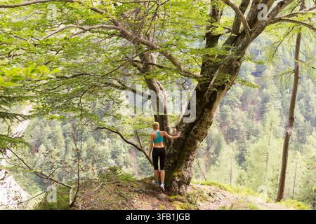 Vue arrière d'une randonneuse en tenue de sport reposant sa main sur un grand tronc d'arbre au bord d'une falaise, surplombant une vaste forêt montagneuse dense en été Banque D'Images