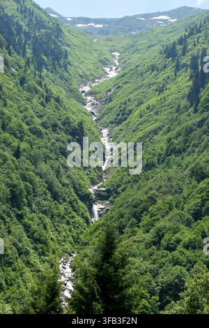 Une rivière de montagne sinueuse traverse une vallée verdoyante sous des sommets parsemés de neige à Ayder, Rize, Turkiye, entourée d'une forêt dense et d'un hi accidenté Banque D'Images