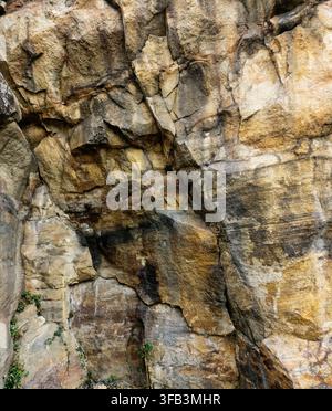 Vue rapprochée de la surface d'une falaise en pierre naturelle Banque D'Images