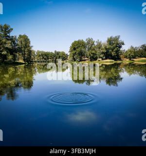 Des ondulations à la surface de l'eau calme reflétant la lumière du soleil avec des feuilles d'été à proximité Banque D'Images
