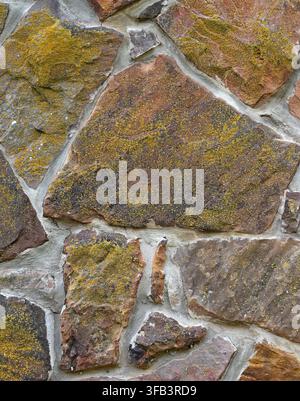 Surface murale en roche et mortier multicolore moussue avec des pierres plates, poreuses, rugueuses et irrégulières de tailles et formes variées avec des joints de mortier épais et larges Banque D'Images