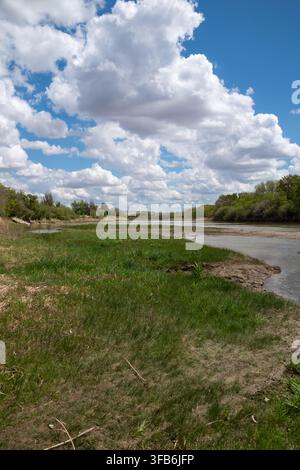 Vue grand angle de la rivière Red Deer qui coule le long de berges herbues et luxuriantes et d'arbres denses sous des nuages cumulus dramatiques et un ciel bleu près de Drumheller Banque D'Images