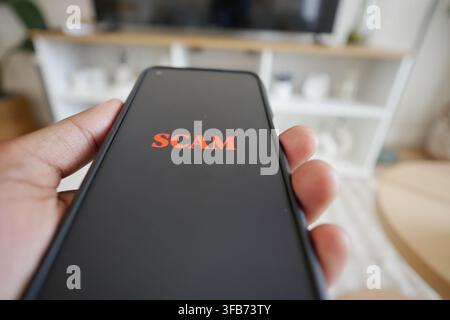 Avertissement affiché sur l'écran du smartphone concernant une arnaque Banque D'Images