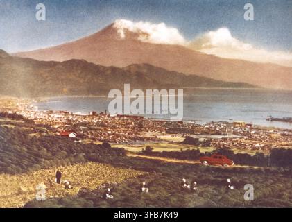 Photo vintage du mont Fuji vu depuis les champs de thé de Nihondaira, préfecture de Shizuoka, Japon - 1953-1954 Banque D'Images