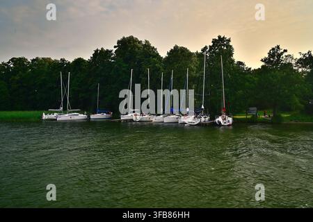 Bateaux à voile amarrés dans une marina bordée d'arbres au coucher du soleil sur une eau verte et calme – Vue depuis le bateau sur le lac Mikołajskie Banque D'Images