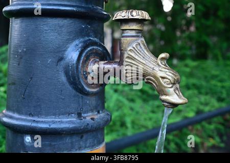 Robinet de puits antique en laiton en forme de poisson, d'où coule l'eau. Banque D'Images