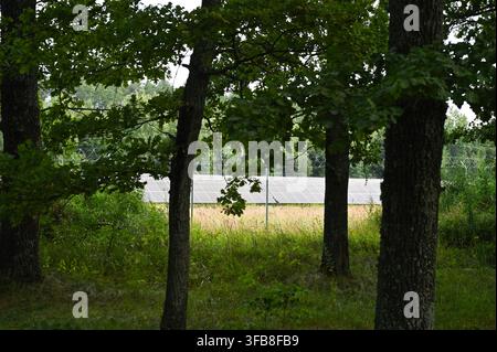Rangeée de panneaux solaires visibles derrière les troncs d'arbres en lisière de forêt. Installation photovoltaïque générant de l'énergie renouvelable dans la nature, technologie verte durable Banque D'Images