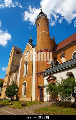 Vue extérieure de l'église Saint-Petri, place Petri dans la vieille ville de Freiberg en Saxe, Allemagne. Banque D'Images