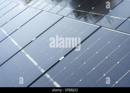Perspective détaillée de panneaux photovoltaïques disposés en rangées, capturant la lumière du soleil pour la production d'énergie renouvelable Banque D'Images