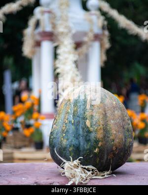 Citrouille verte rustique exposée devant un autel traditionnel du Jour des Morts mexicain décoré de fleurs de souci. Banque D'Images