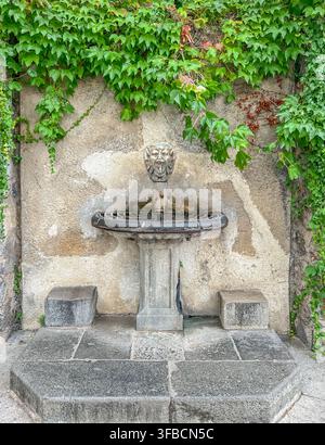 une fontaine murale en pierre italienne classique ornée d'un robinet à tête de lion sculptée, d'un bassin en pierre classique et de lierre vert en cascade en Italie Banque D'Images