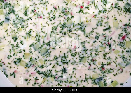Salade de yaourt crémeuse aux herbes fraîches, concombre et radis en gros plan Banque D'Images