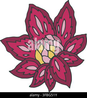 Élément botanique floral populaire magenta vibrant Illustration de Vecteur