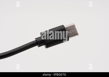Un macro cliché détaillé d'un câble connecteur USB Type-C sur un fond blanc immaculé. La mise au point nette sur le connecteur métallique révèle le in Banque D'Images