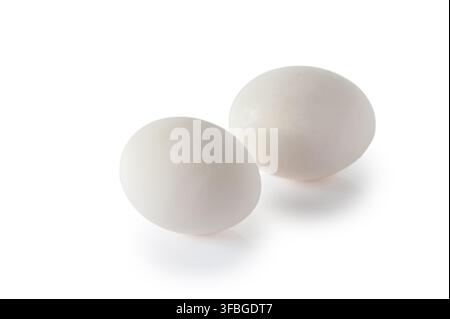 Une paire d'œufs de poule frais isolés sur un fond blanc. Texture détaillée de la coquille et forme naturelle. Parfait pour la photographie culinaire, alimentation saine Banque D'Images