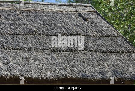 Toit de chaume traditionnel fabriqué à partir de paille naturelle ou de roseau. Détail rustique d'un vieux bâtiment Banque D'Images