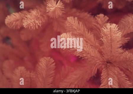 Vue latérale d'un sapin de Noël rose, fond avec espace de copie. Branches d'arbre avec mise au point sélective, bokeh. Concept de fond texturé, carte de vœux Banque D'Images