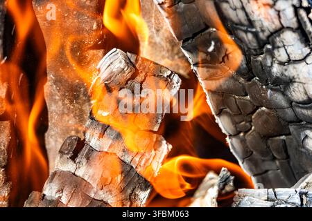 Gros plan horizontal de flammes de feu orange vif enveloppant des braises de bois noir carbonisé avec de la cendre en plein air à la lumière du jour sans personnes. Banque D'Images