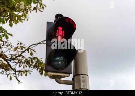 Feu piéton montrant un signal d'arrêt rouge contre un ciel nuageux avec des branches d'arbres, symbolisant la sécurité routière et la régulation des transports urbains Banque D'Images