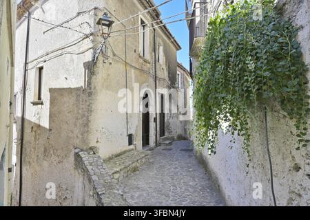 De vieilles maisons en pierre bordent une rue pavée étroite traditionnelle avec des plantes grimpantes Banque D'Images