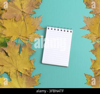 Ordinateur portable ouvert en ligne avec des pages vierges blanches sur un fond vert, près de jaune feuilles d'érable, vue du dessus Banque D'Images