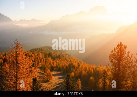 Les rayons du soleil traversent la brume montagneuse au-dessus des forêts de mélèzes dorés dans les Dolomites. Paysage automnal atmosphérique avec une lumière chaude en contre-jour et des crêtes alpines superposées Banque D'Images