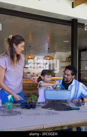 Famille divers plantant des plants sur une table en bois dans une cuisine ouverte avec un flacon pulvérisateur Banque D'Images