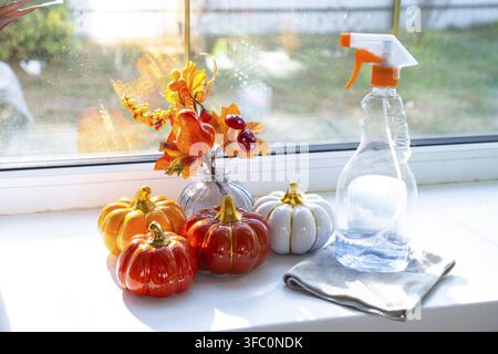 Les produits de décoration de citrouille et de nettoyage de vitres reposent sur le rebord de la fenêtre avec un chiffon, vaporisez à l'intérieur de l'intérieur avec des plantes maison sur le rebord de la fenêtre. Restauration de l'ordre et Banque D'Images